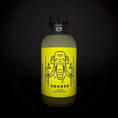 House of Mammoth β Sonder