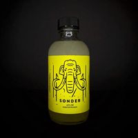 House of Mammoth — Sonder