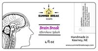 Summer Break Soaps — Brain Break